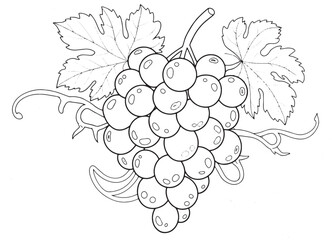Detailed grapes cluster illustration against abstract swirling b