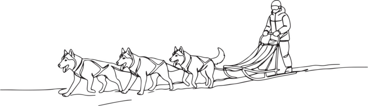 Elegant monochrome drawing: winter scene with musher and sled do