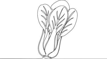Fototapeta premium Minimalist line drawing of bok choy, fresh and vibrant green veg