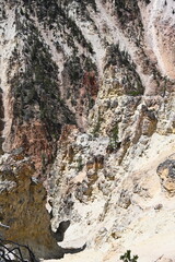 Lower Falls, Grand Canyon of the Yellowstone, Wyoming, USA.