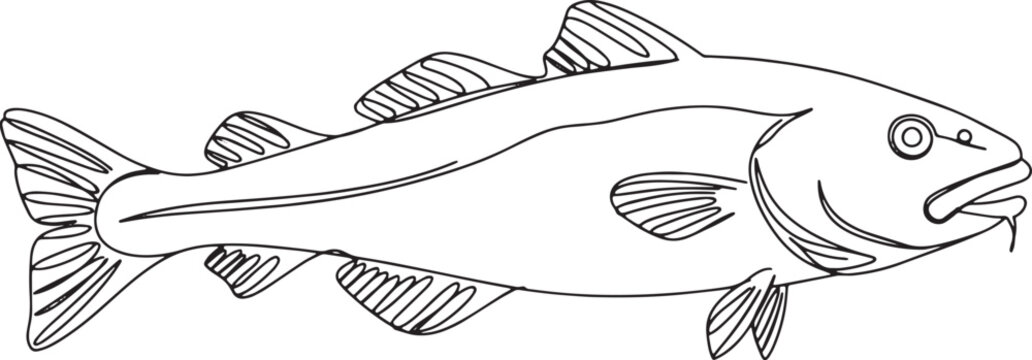 Simple Line Art Illustration of a Codfish on White Background fo