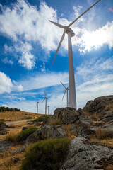 Exploring renewable energy landscapes with towering wind turbines in a breathtaking natural setting