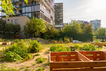 Urban community garden in Zizkov, Prague, Czech Republic. Sustainable green space with planting...