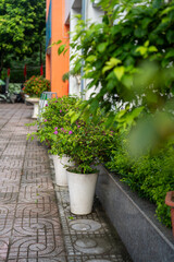 Vibrant greenery enhances the urban landscape.