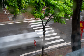 A blurred view of a tree by a crosswalk on a rainy street.
