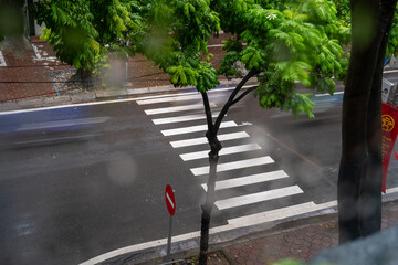 A wet crosswalk under lush greenery on a rainy day