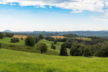 Wiesenlandschaft bei Hinterhermsdorf in der Sächsischen Schweiz 2