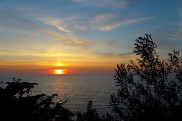 Dark silhouettes of trees and the sky over the sea at sunset can be seen from the village of Ustronie Morskie in Poland