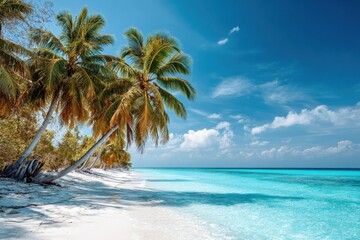 Beautiful summer vacation background of tropical beach with turquoise water, palm trees, and empty soft white sandy coastline