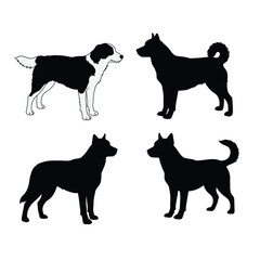 Four different dog breeds in profile with one outlined and three silhouettes