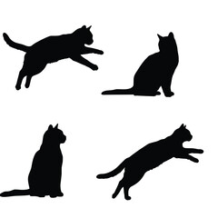 Four black cat silhouettes in different poses on white background