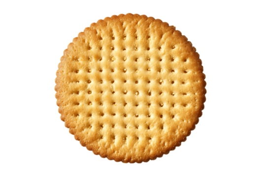 Close up of a round cracker with a textured surface.