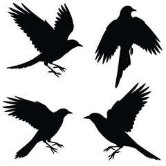 Four black silhouettes of birds in different flying positions on white background