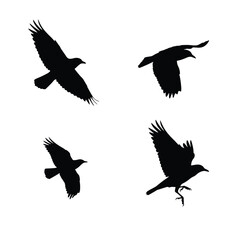 Four black silhouettes of birds in flight on a white background