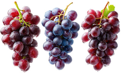 Trois grappes de raisins rouges et noirs fraîches avec gouttelettes