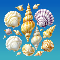 seashells on a blue background