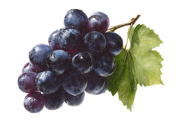 Fototapeta premium Fresh ripe red grapes with leaf on black background