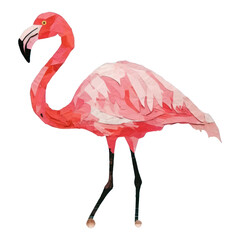 Obraz premium PNG Flamingo animal bird beak.