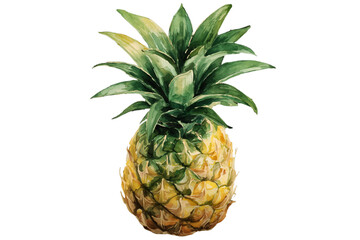 Obraz premium watercolor pineapple on white background