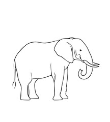 Fototapeta premium Elegant Elephant Silhouette – Wild Animal Vector Illustration on Transparent Background