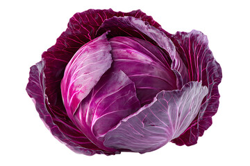 Obraz premium Close up of a fresh red cabbage.