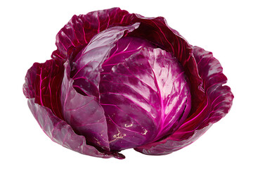 Obraz premium Close up of a fresh red cabbage, showcasing its rich color and texture.