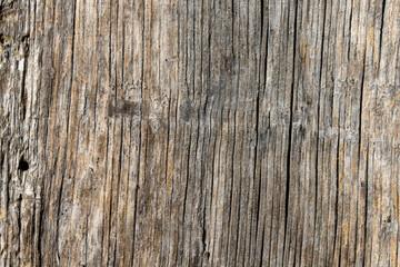 Wooden texture with natural patterns as a background	

