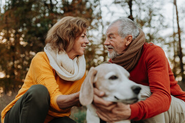 Elderly man and woman walking their dog in nature on autumn day.