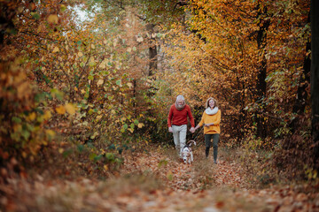 Fototapeta premium Senior couple walking dog in autumn forest.