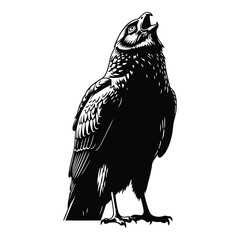 Vector art of black silhouette of a hawk bird
