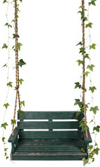 swing with vine isolated
