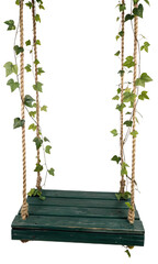 swing with vine isolated
