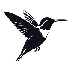 Vector art of hummingbird in flight
