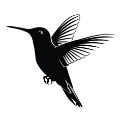Vector art of hummingbird flying