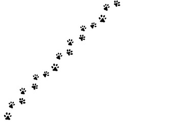 paw prints on white transparent background	