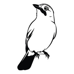 Vector art of bird silhouette
