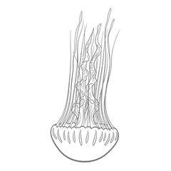 Vector art of jellyfish line art