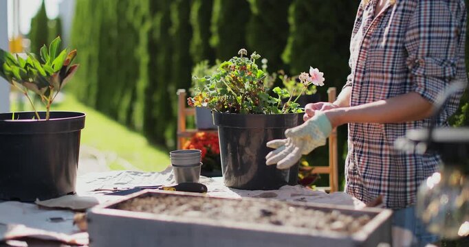 Preparation for transplanting a houseplant using extended clay, soil, shovel, rake and flowerpot. Home gardening. Hobbies and leisure concept.
