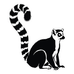 Vector art of ringtailed lemur sitting