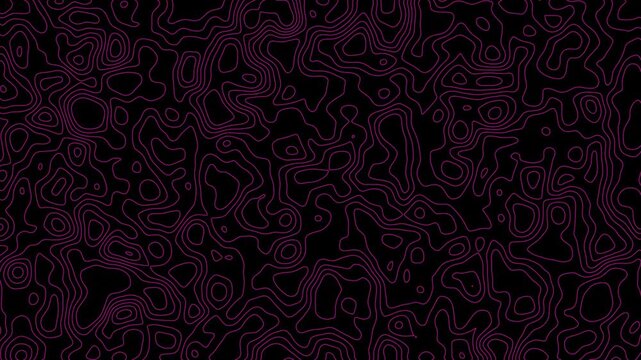 Animated pink topography lines moving across a dark background seamless loop