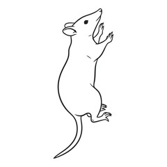 Vector art of line drawing of a mouse