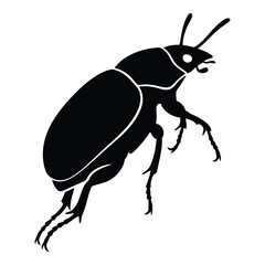 Vector art of beetle illustration