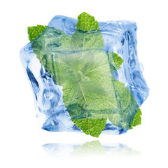 Fresh mint leaves inside clear ice cube on white background