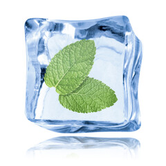 Fresh mint leaves inside clear ice cube on white background