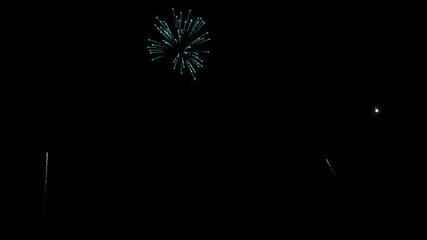 fireworks background different colors shining fireworks in the night sky - Powered by Adobe