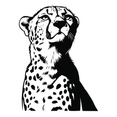 Vector art of cheetah head looking up