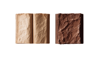 Two open books, one light beige, one dark brown, with crinkled pages