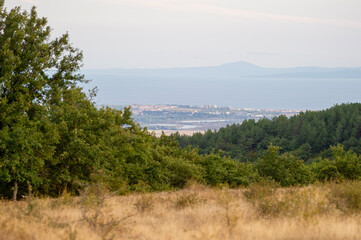 A sweeping view of nature blending into urban life, with dry grasslands, dense forest, and a...
