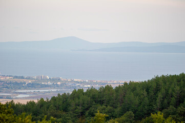 A layered coastal scene where lush forest meets a tranquil city by the water, framed by distant...