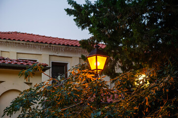 A softly glowing streetlamp nestled in tree foliage casts warm light on a festive building with...